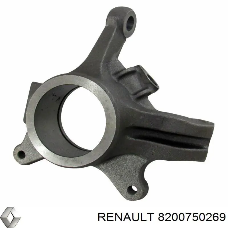 Mangueta delantera derecha Renault (RVI) 8200750269 precio, desde 64,98 EUR