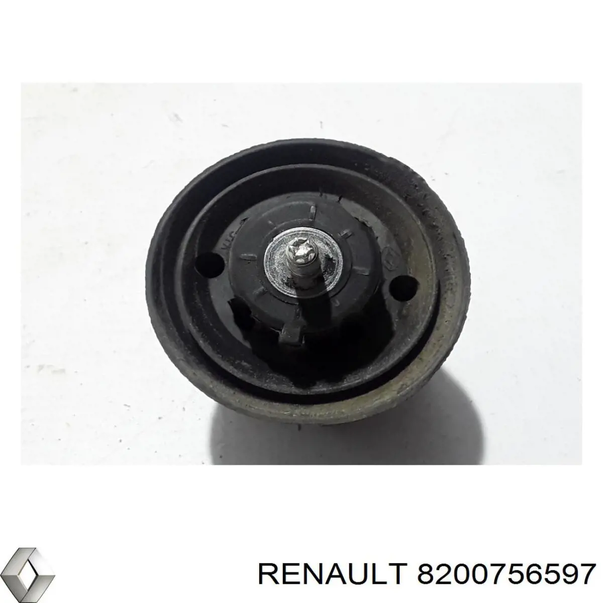 8200756597 Renault (RVI)