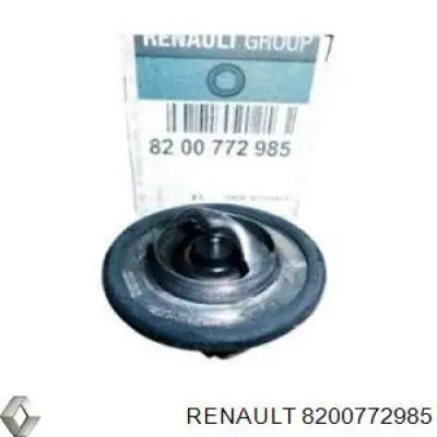 8200772985 Renault (RVI) termostato
