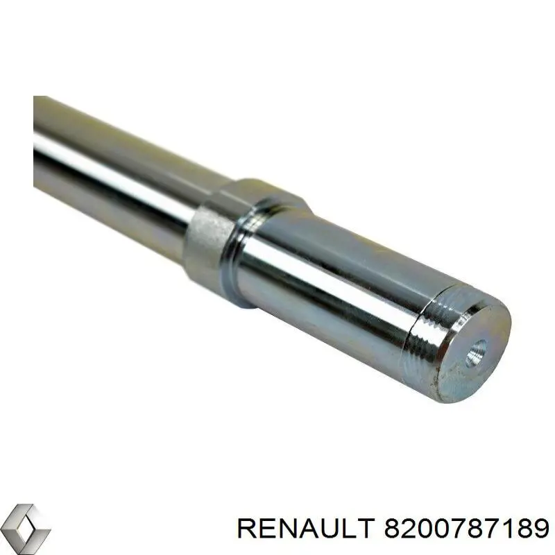 Comprar 8200787189 Renault (RVI) Perno de fijación del brazo oscilante delantero