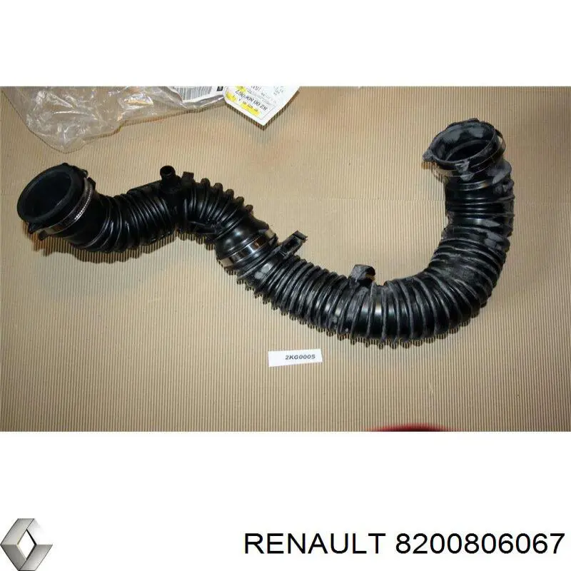 Conducto de aire, salida del filtro de aire Renault (RVI) 8200806067 precio, desde 66,79 EUR