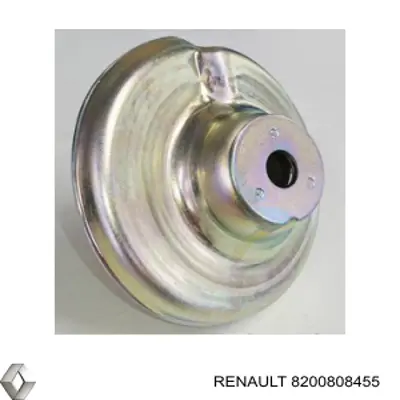 Cojinete columna de suspension Renault (RVI) 8200808455