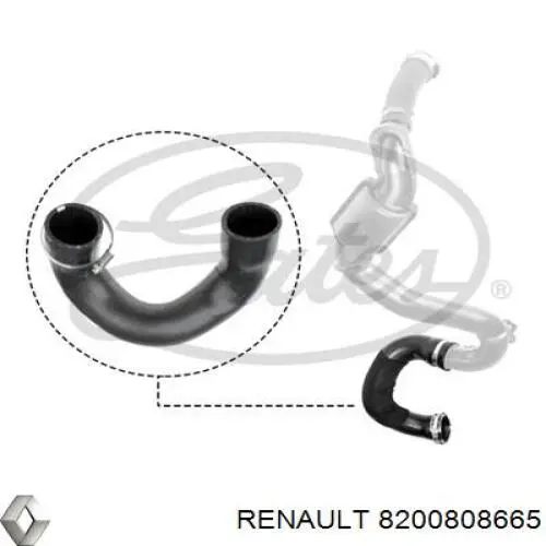 8200808665 Renault (RVI) tubo intercooler