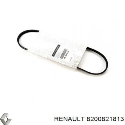 8200821813 Renault (RVI) Correa poly v