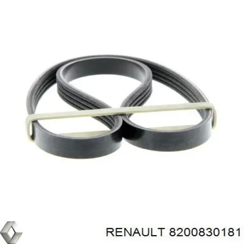 Correa de alternador 8200830181 Renault (RVI)