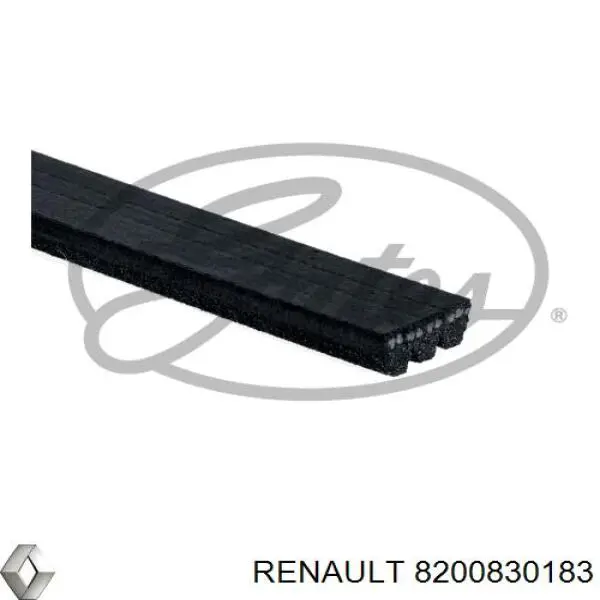 8200830183 Renault (RVI) correa trapezoidal