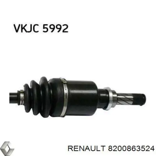 8200863524 Renault (RVI)
