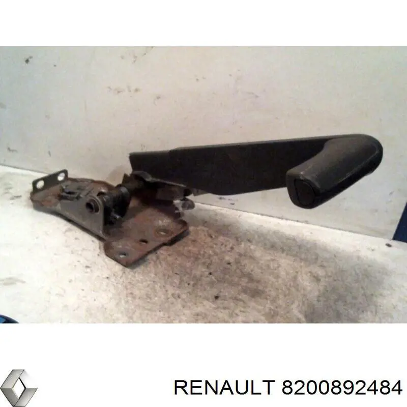 8200892484 Renault (RVI)