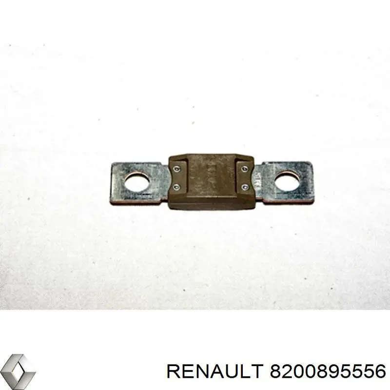 8200895556 Renault (RVI) fusible