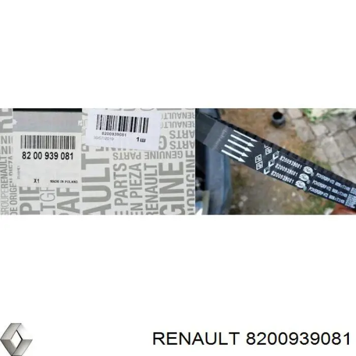 Comprar 8200939081 Renault (RVI) Correa distribución
