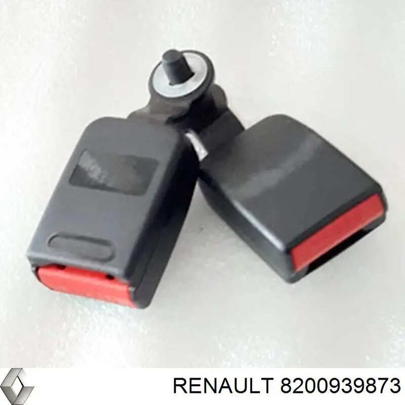  8200939873 Renault (RVI)