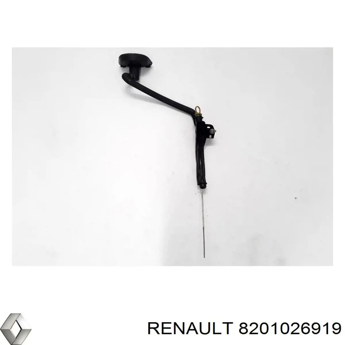 8201026919 Renault (RVI) embudo, varilla del aceite, motor