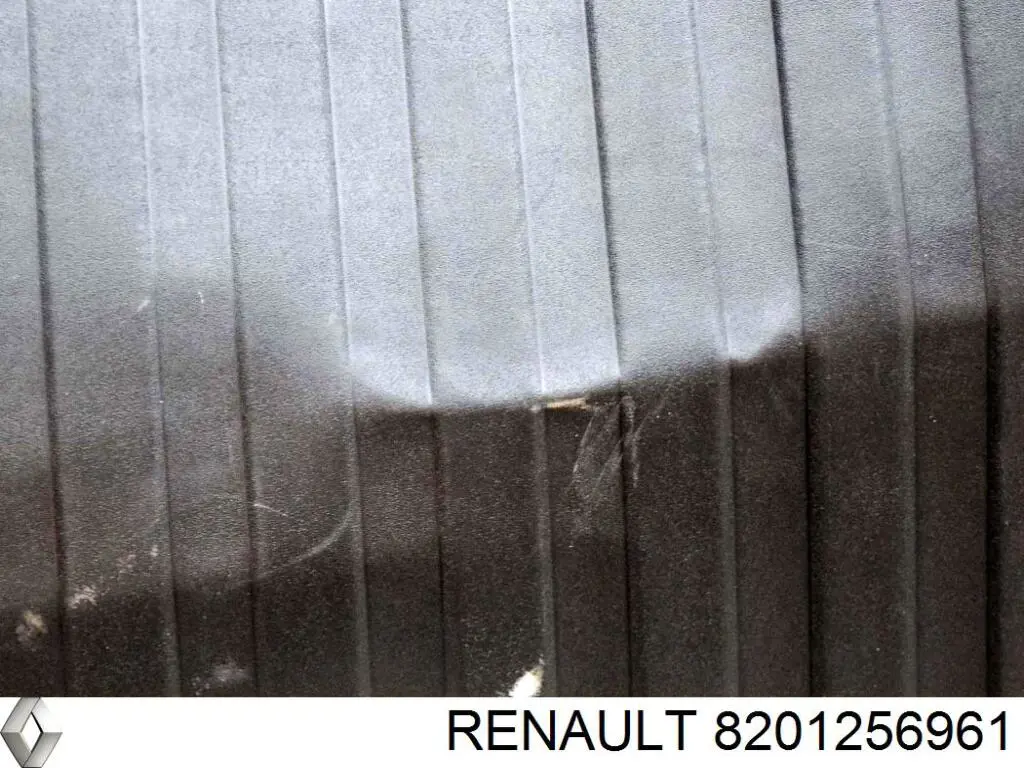 Alfombrilla del maletero 8201256961 Renault (RVI)