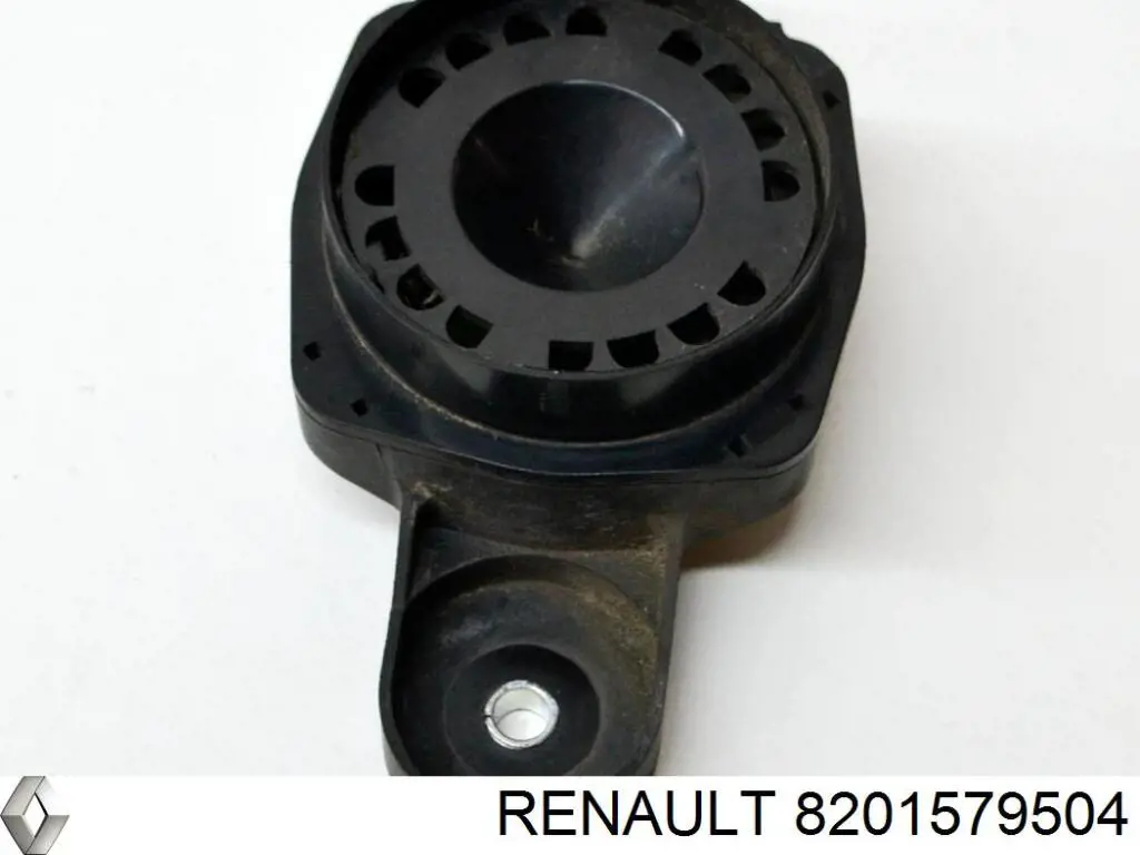 8201579504 Renault (RVI)