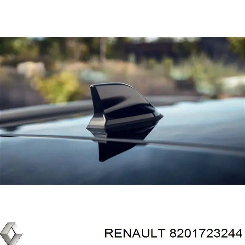 8201723244 Renault (RVI) Red del maletero