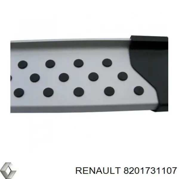 8201731107 Renault (RVI)