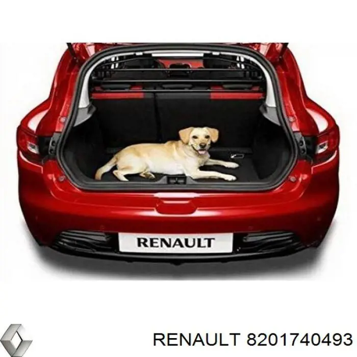 8201740493 Renault (RVI)