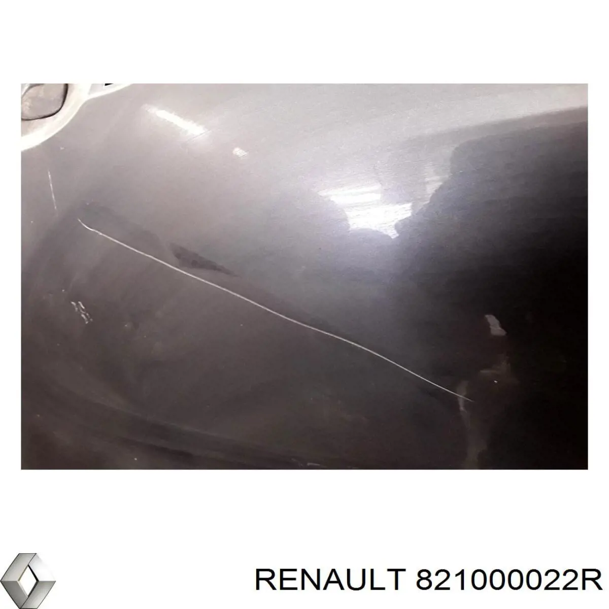 Puerta trasera derecha Renault (RVI) 821000022R precio, desde 235,22 EUR