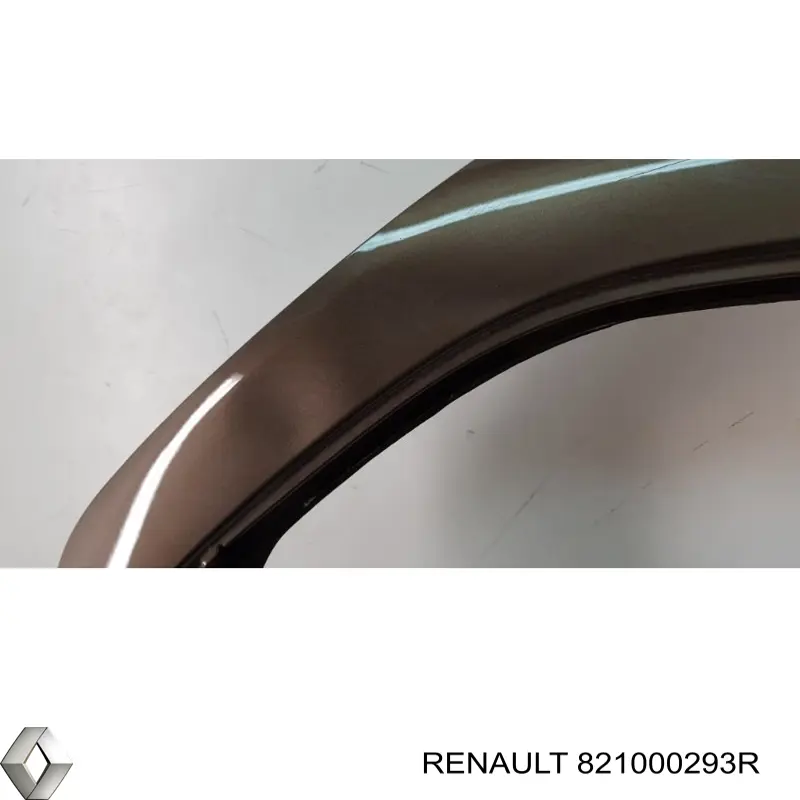 821000293R Renault (RVI) Puerta trasera derecha