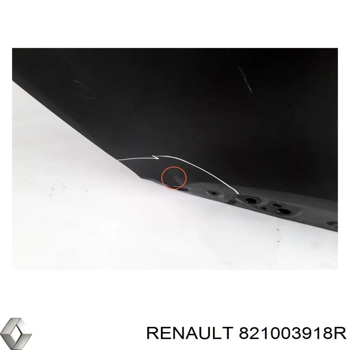 821003918R Renault (RVI)