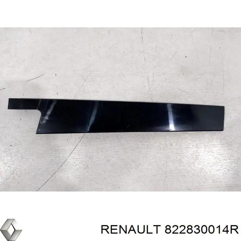 822830014R Renault (RVI)