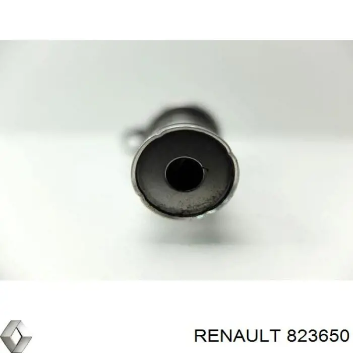 823650 Renault (RVI)