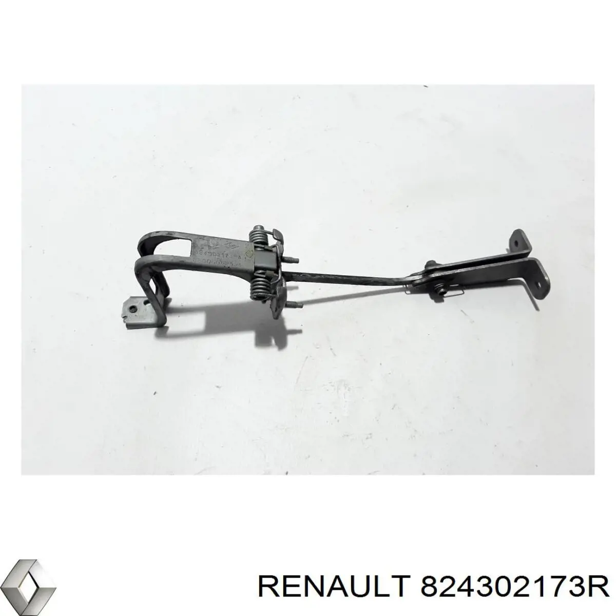 824302173R Renault (RVI)