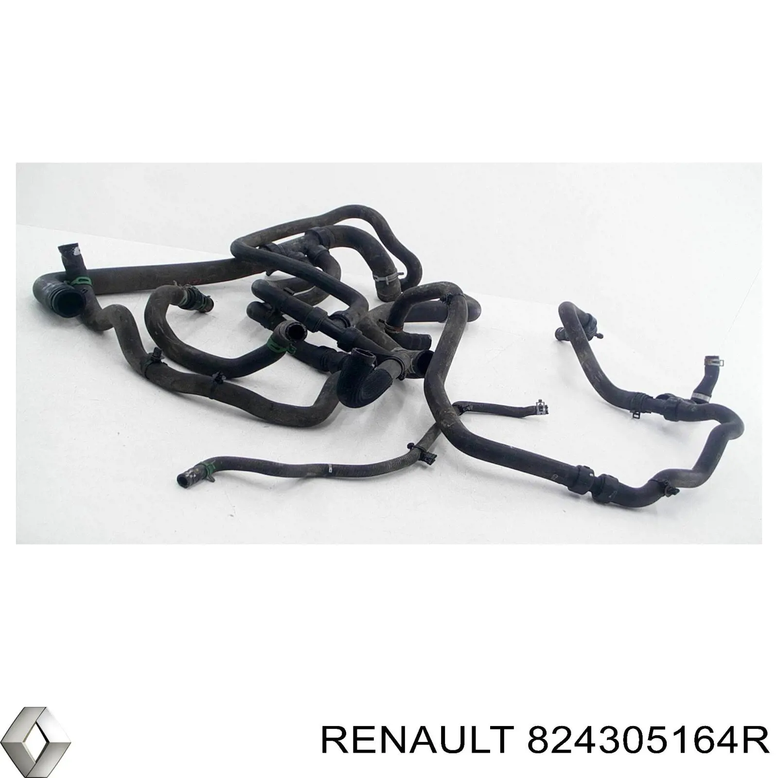 824305164R Renault (RVI) asegurador puerta trasera
