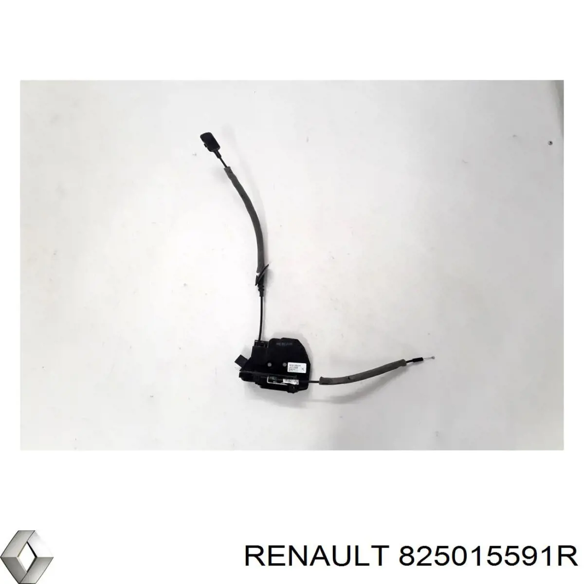 825015591R Renault (RVI) 