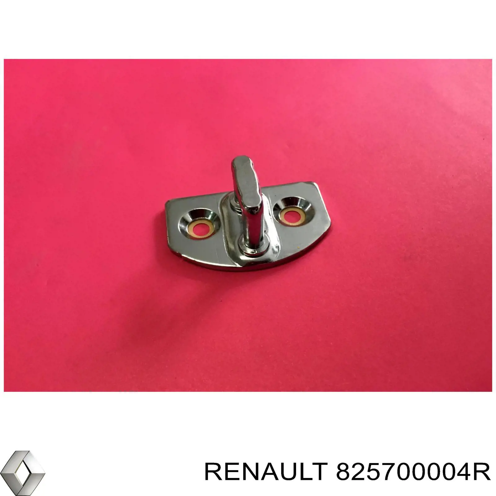 825700004R Renault (RVI)