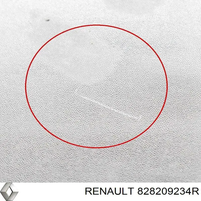 828209234R Renault (RVI) moldura de puerta corrediza