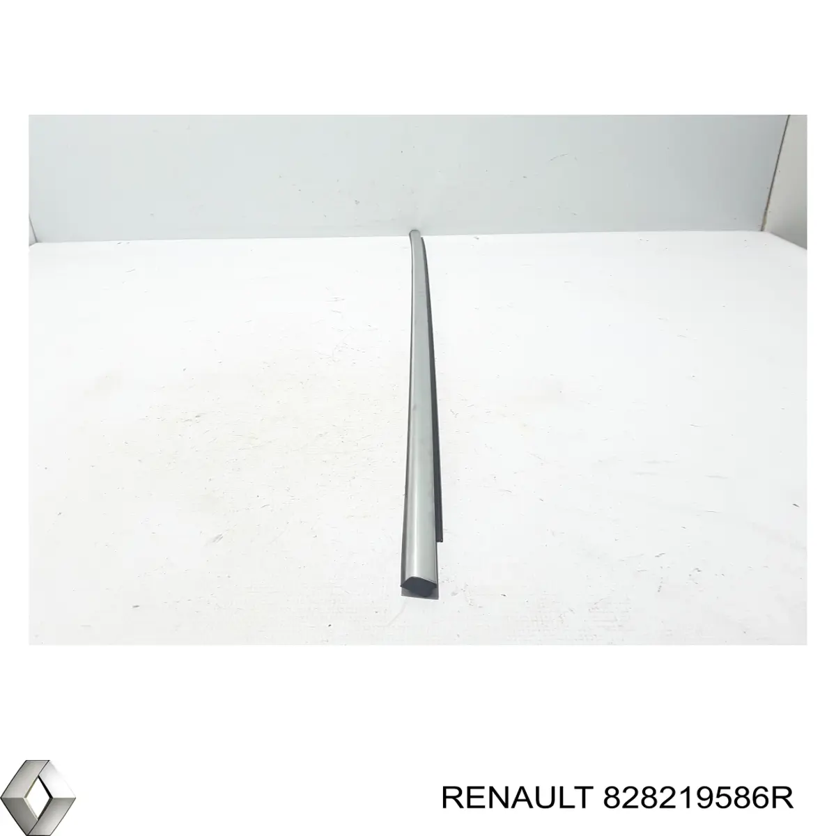 828219586R Renault (RVI)