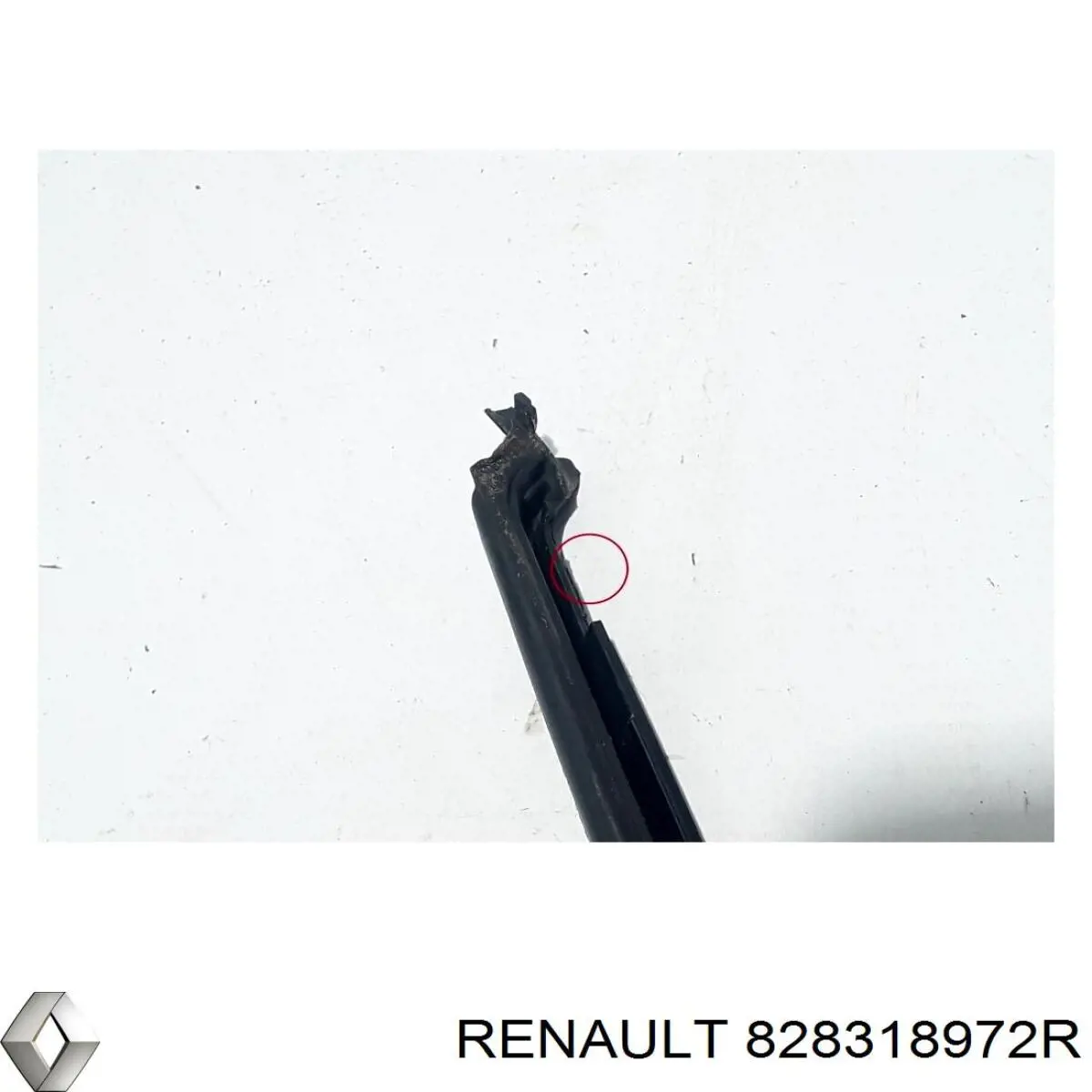 828318972R Renault (RVI) 