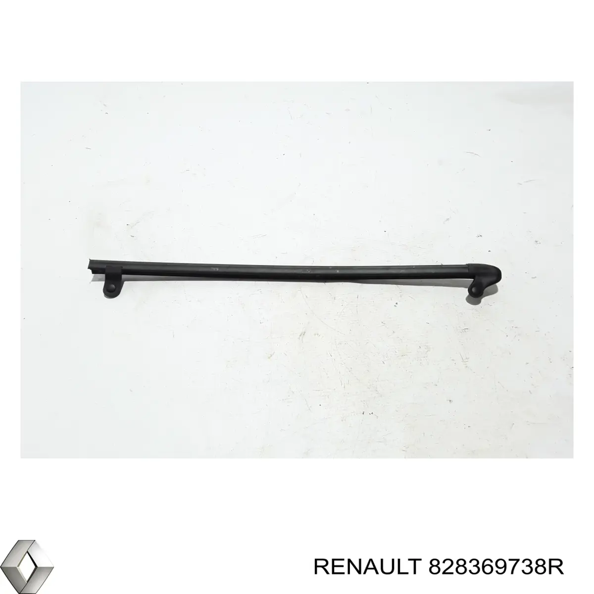 828369738R Renault (RVI)