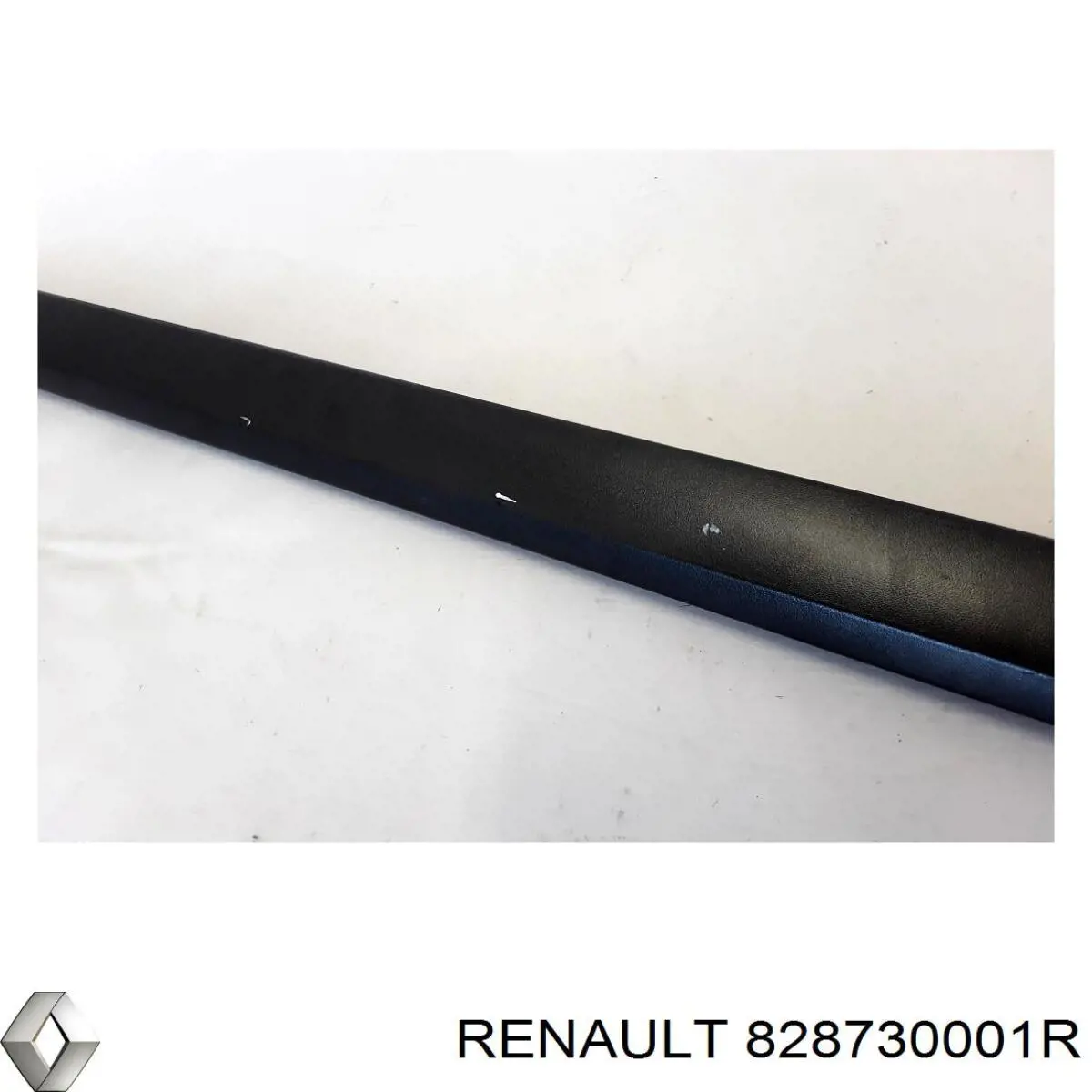 828730001R Renault (RVI)