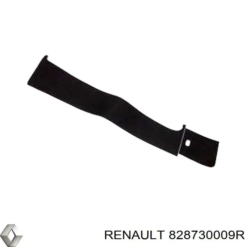 Moldura superior de puerta trasera izquierda 49369513 Corteco