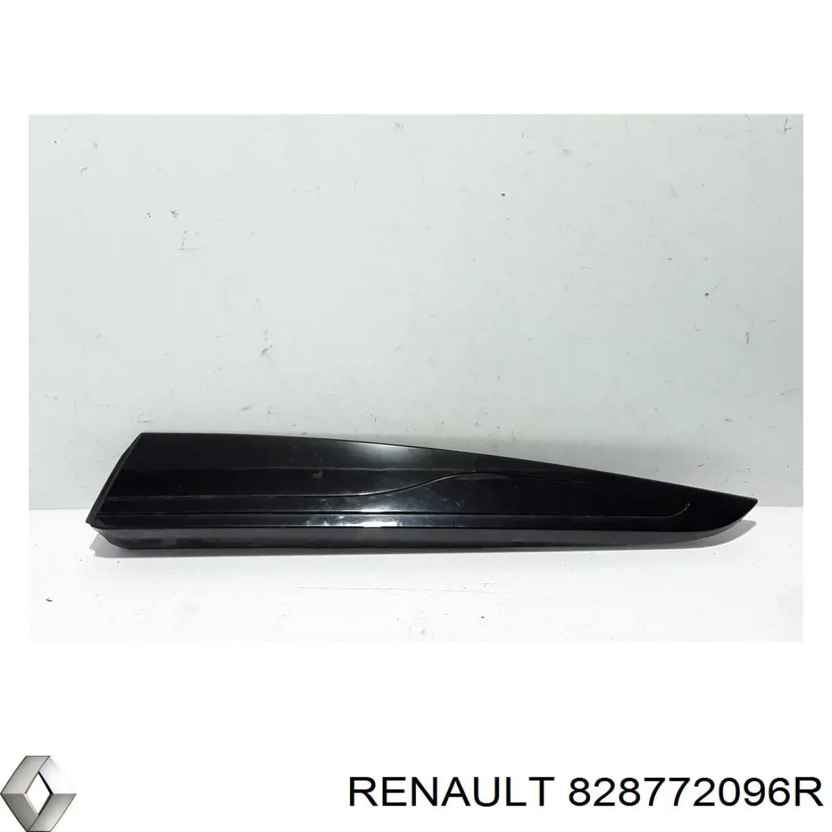 828772096R Renault (RVI)