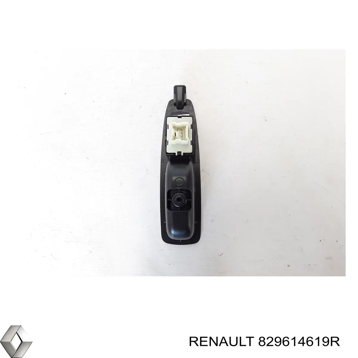 829614619R Renault (RVI) 