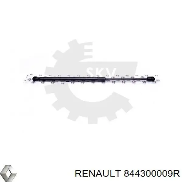 Amortiguador maletero GSR614600 Open Parts