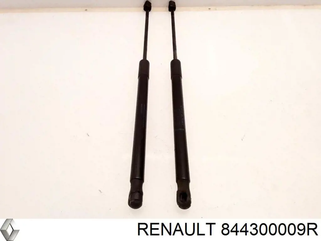 844300009R Renault (RVI) amortiguador de maletero