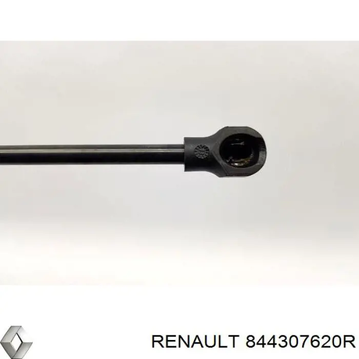 Amortiguador de maletero Renault (RVI) 844307620R precio, desde 12,27 EUR