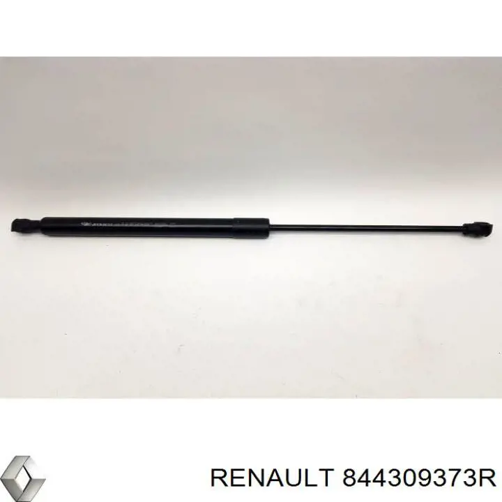 844309373R Renault (RVI)