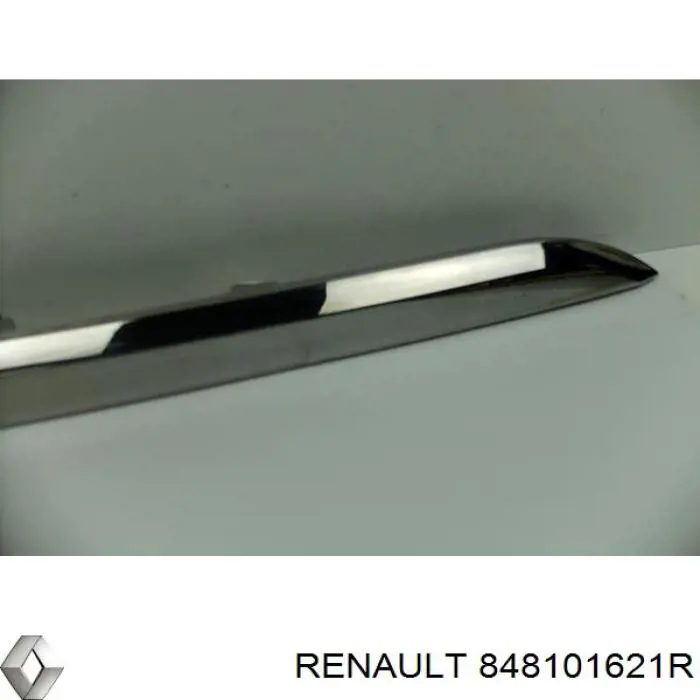 848101621R Renault (RVI)