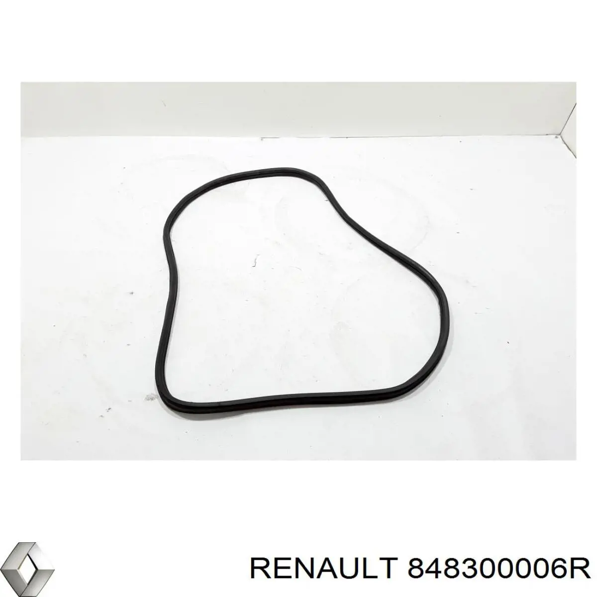 848300006R Renault (RVI)