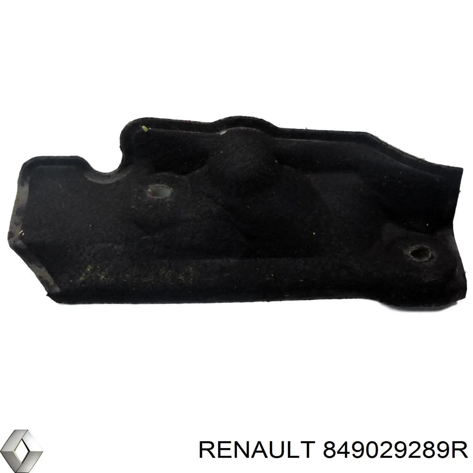 849029289R Renault (RVI)