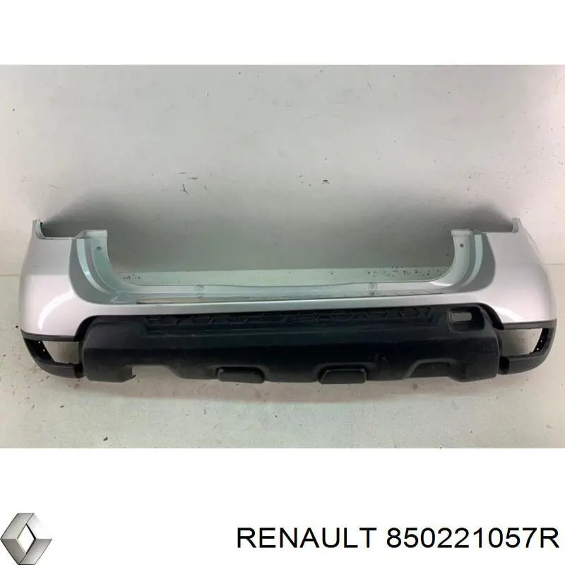 5506001306950P 4max Defensa trasero