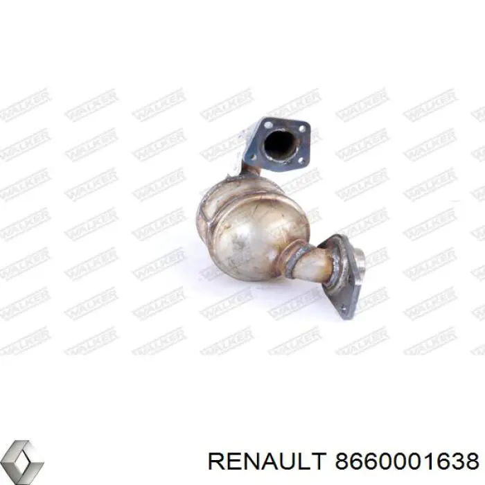 8660001638 Renault (RVI) catalizador