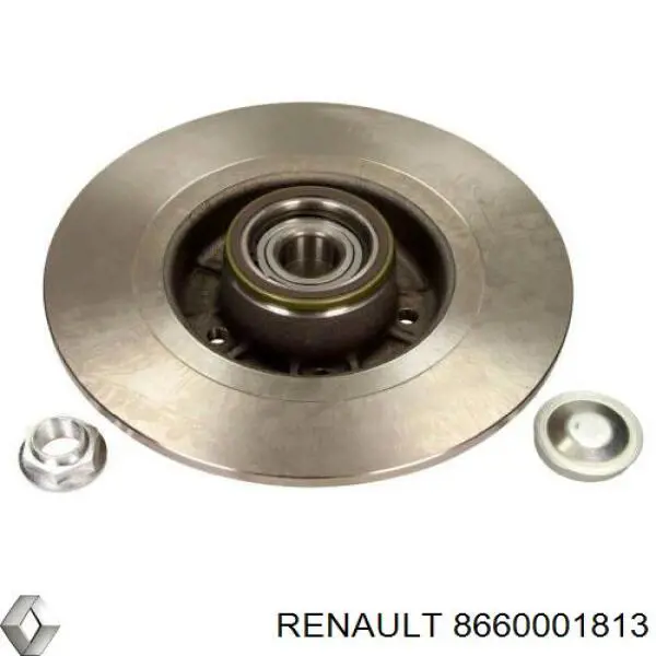 Disco de freno trasero Renault (RVI) 8660001813 precio, desde 72,00 EUR