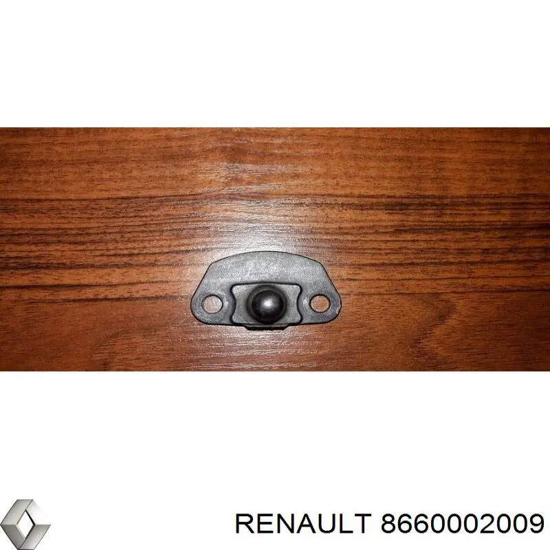 Comprar 8660002009 Renault (RVI) Cojinete de rueda delantero
