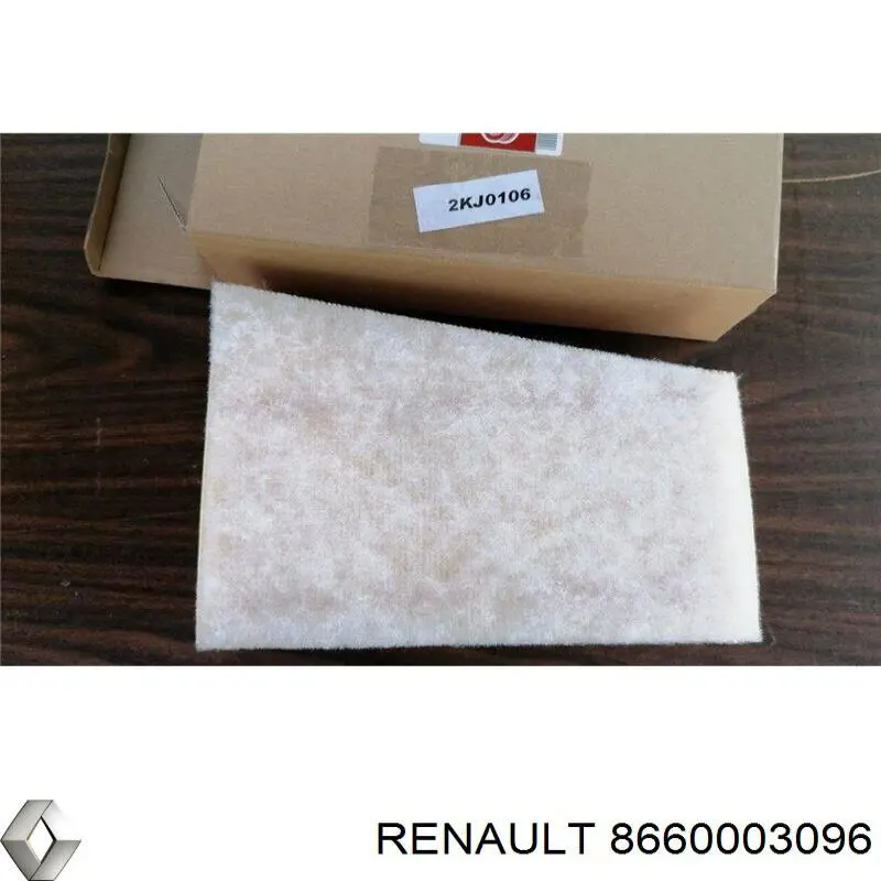 8660003096 Renault (RVI) filtro de aire